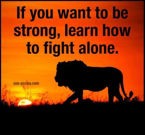 Lion - Strong