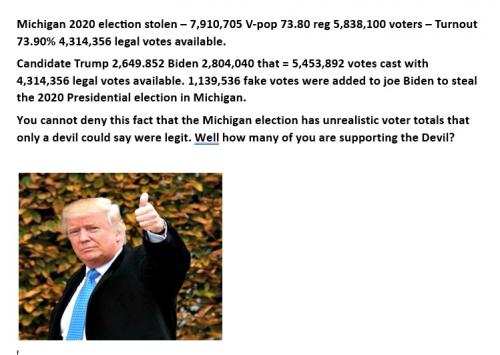 Michigan  2020 steal
