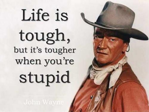 USA life stupid