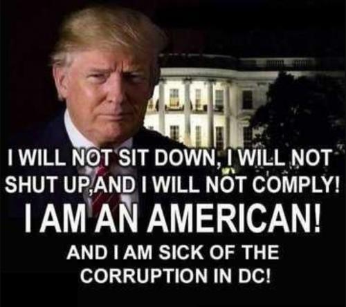 USA I am American
