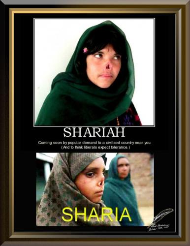 Sharia Law 1