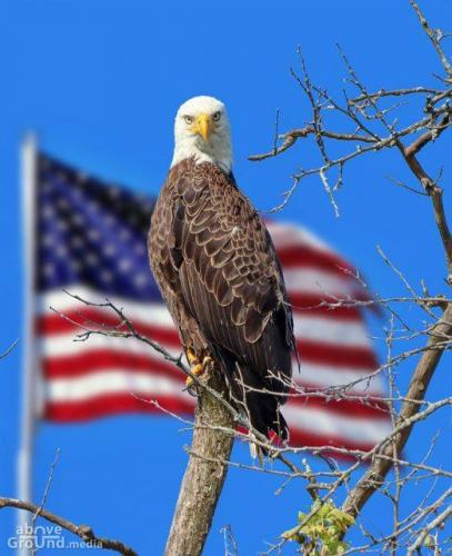 387195589_711664444340730_5871656192388632018_n