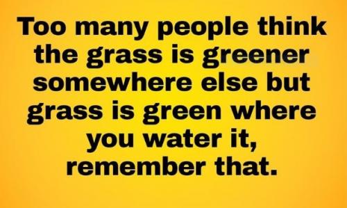 Green Grass