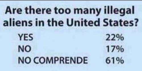 NO CONPRENDE    GETTR