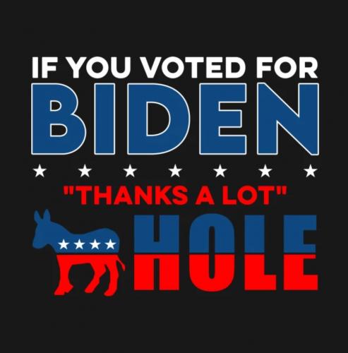 USA Biden voter