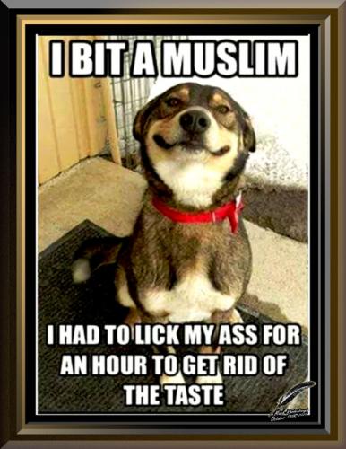 Dog Humor ~I Bit a Muslim~