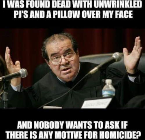 Screenshot_20231025-082850_Gallery