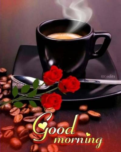 100823 - GM black cup