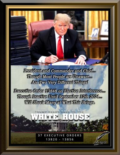 Trump ~The Way Back~ 2