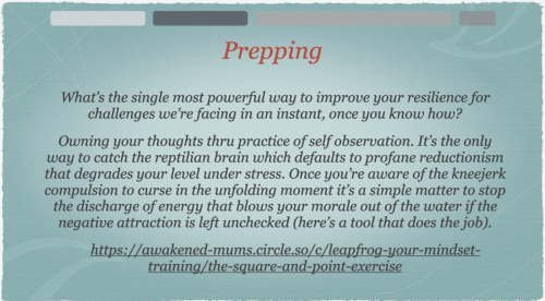 Screen Shot 2023-10-06 at 8.57.22 AM