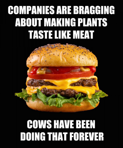 USA companies bragging