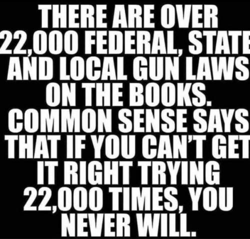 GUN LAWS voluminous