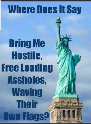 assholes