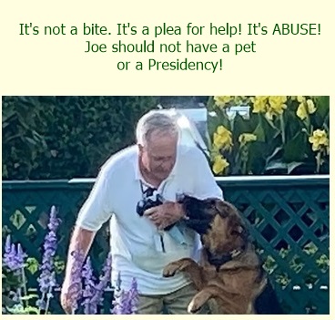 Commander-America-First-Dog-biting-incidents-kicked-out-White-House