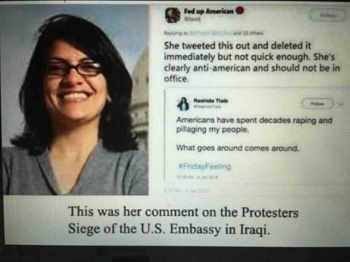 PALIENSTEIN PIG    TS