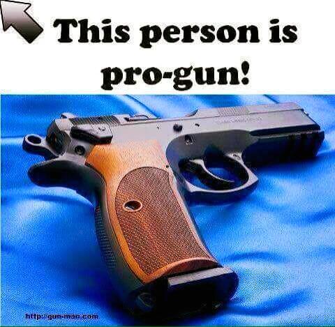 Pro 2A