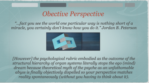 Screen Shot 2023-10-25 at 2.54.01 PM