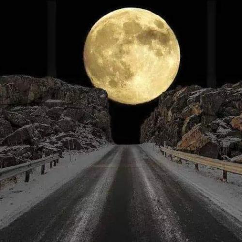 Good Night 9