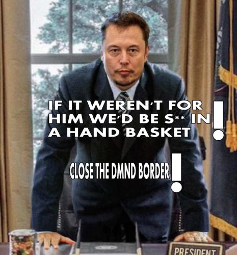 ELON376