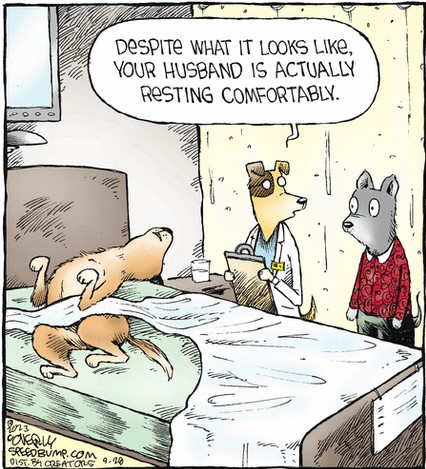 Screenshot 2023-09-28 at 06-55-01 Speed Bump by Dave Coverly for September 28 2023 GoComics