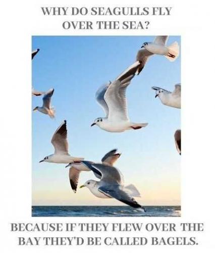 uaMsmYH9Qr6xkeqDqVAK_12_929568d6c576ea90cdbef2dd169e6855_image