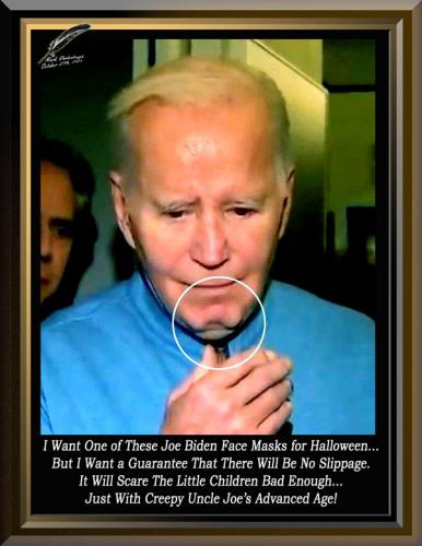 Biden Face Mask