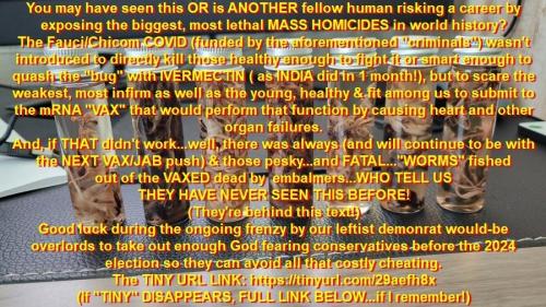 5464E031-8396-4FD1-9195-54F018E44D5A