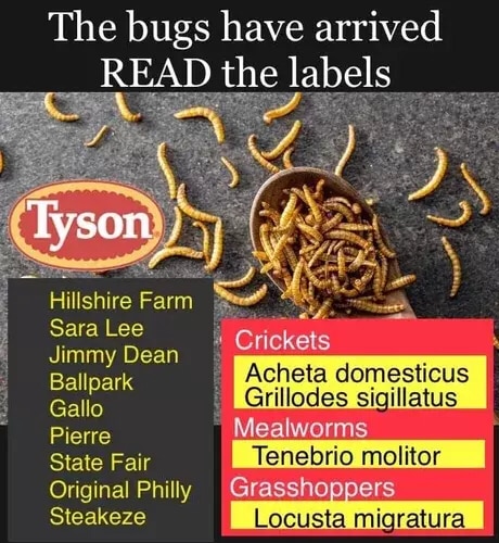 158cc1f2-0673-4376-9d54-adc11a80b332