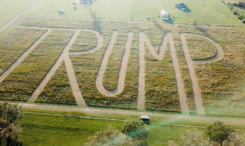 cropcircle