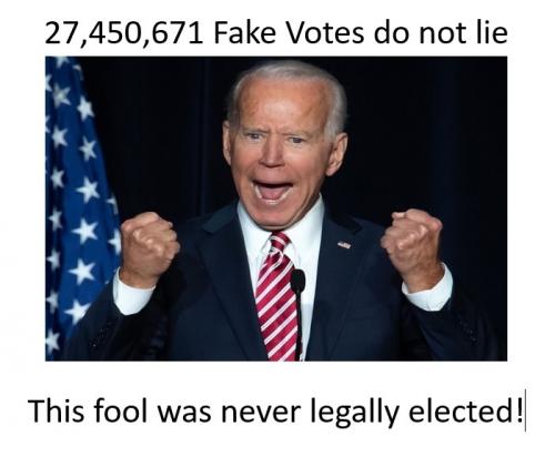 27 million fake votes