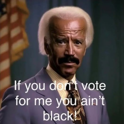 Black Biden