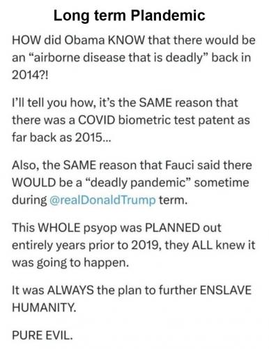 plandemic 53