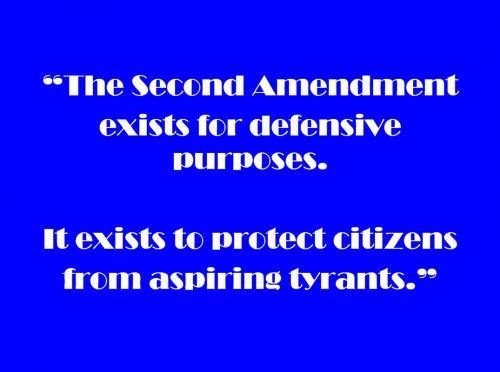 USA second amendment