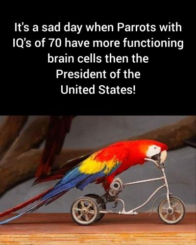 be3ab434915f1b89.jpeg