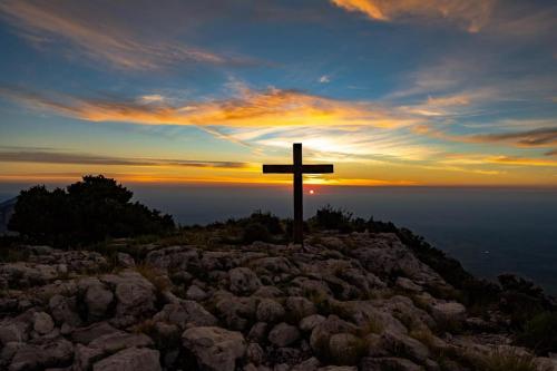 317470330_453284033595564_8552031473519567042_n