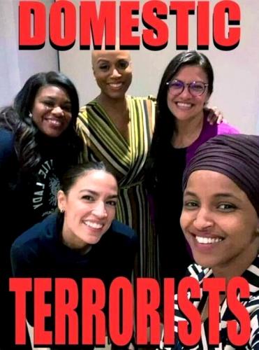 Domestic Terrorists