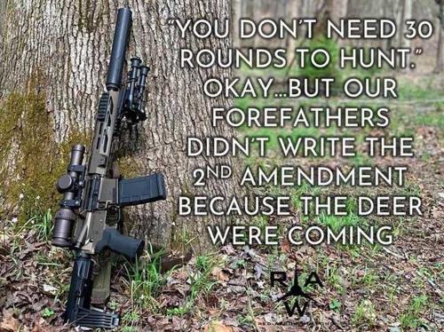 USA 2nd Amendment