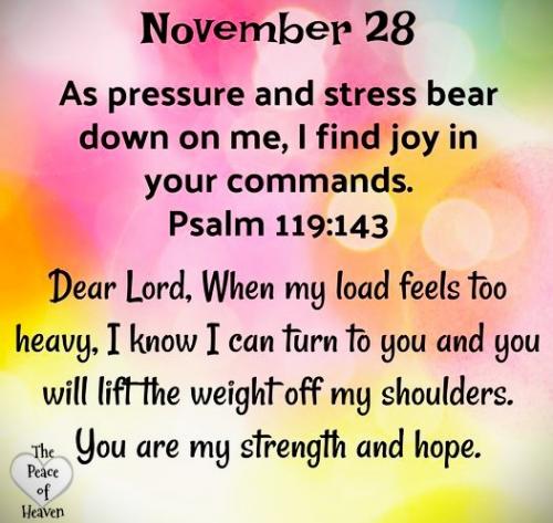 112823 - Ps 119-143 Joy in your commands