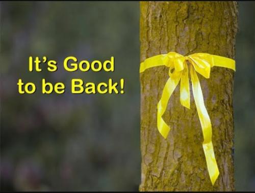 Screenshot_20231101-193929_DuckDuckGo