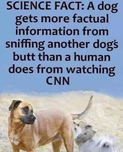 406117490_357124420345331_8652663278534619761_n