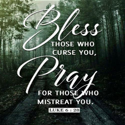 bless those that curse you