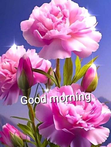 111923 - GM Pink flwrs