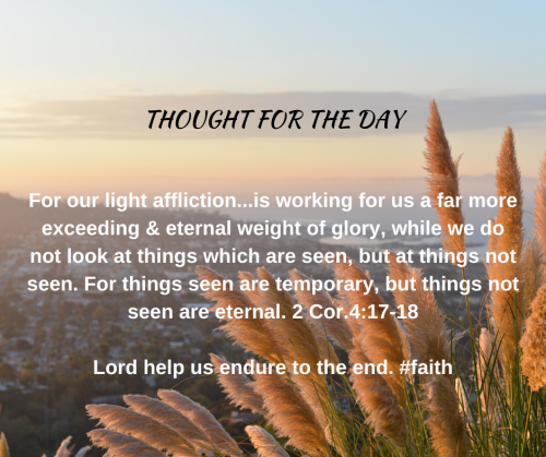 TWEET 11-16-23