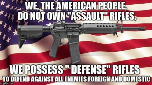 M defense rifles