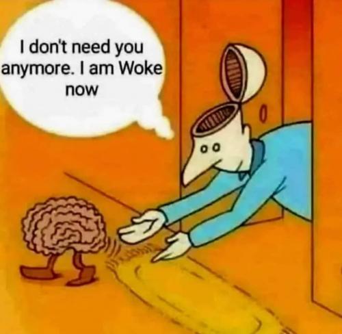 FB_IMG_1699035536126