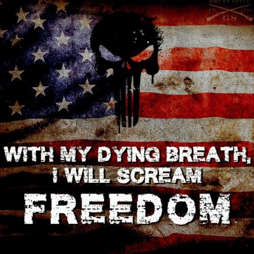 USA scream freedom