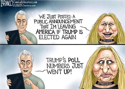 USA election 2024 - a cazy old coot - Barbara streisand far away down 6 feet 8 inches would you please