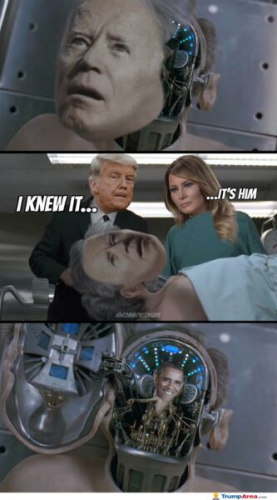 c0336f2a477bdebb