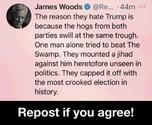 RO reason hate Trump
