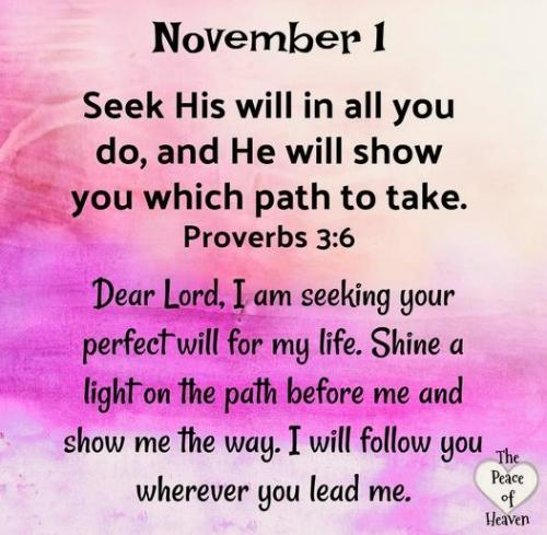 110123 - Prov 3-6 Seek His will